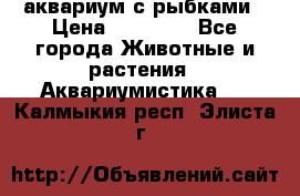 аквариум с рыбками › Цена ­ 15 000 - Все города Животные и растения » Аквариумистика   . Калмыкия респ.,Элиста г.